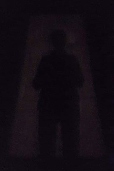 An Image in the Shadow poster