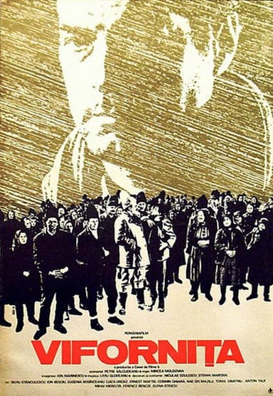 The Snowstorm poster