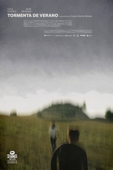 Summer Storm poster