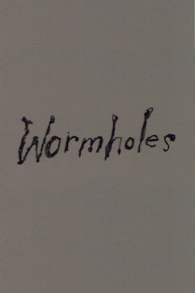 Wormholes poster