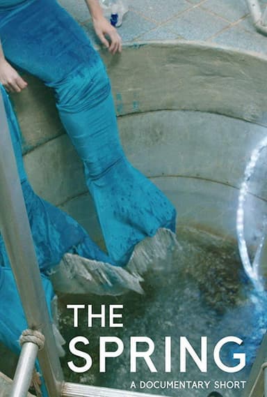 The Spring poster