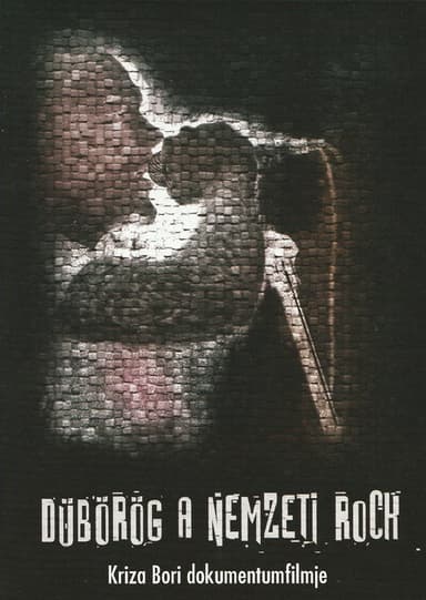 Rocking the Nation poster