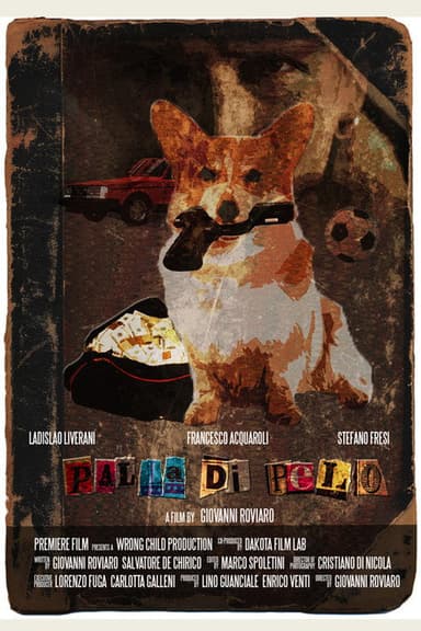 Palla di pelo poster