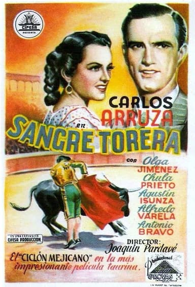 Sangre torera poster