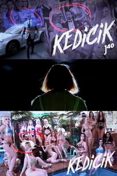Kedicik poster