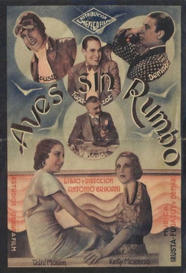 Aves sin rumbo poster