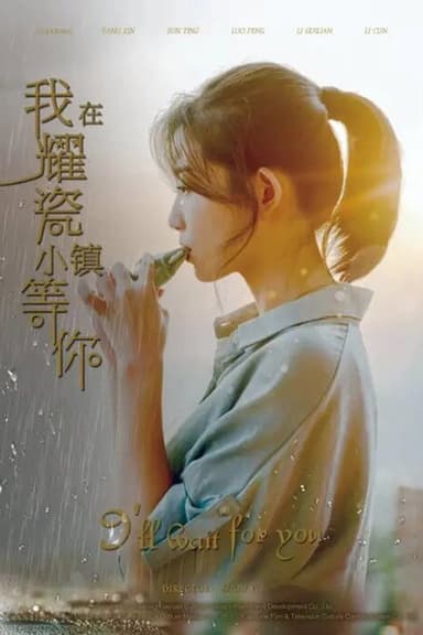 I'll Wait for You poster