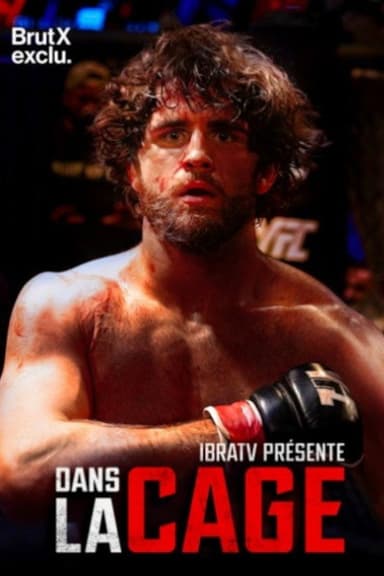 Dans la cage poster