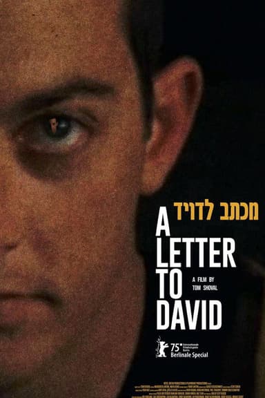 A Letter to David poster
