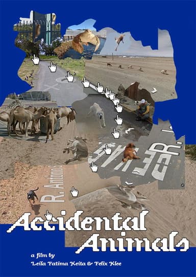 Accidental Animals poster