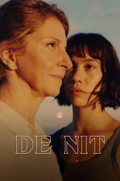De nit poster