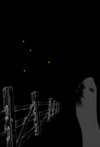Fireflies Along the Fence poster