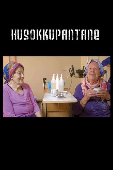 Granny Squatters poster