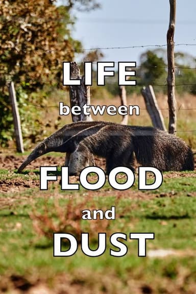 Life between Flood and Dust poster