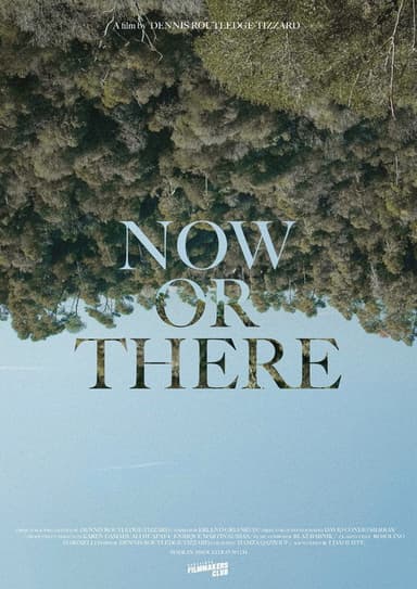 Now or There poster