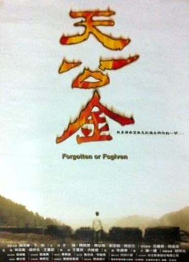 天公金 poster