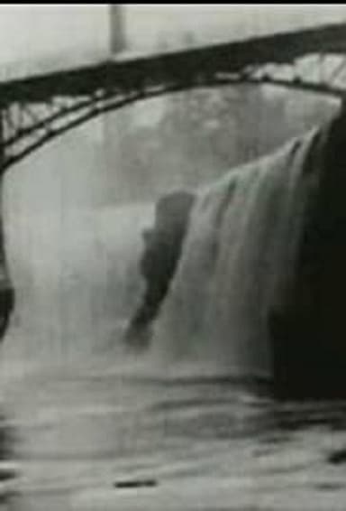 Passaic Falls, New Jersey poster