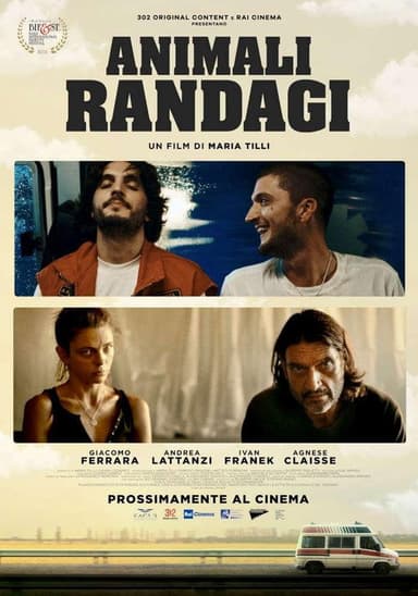 Animali randagi poster