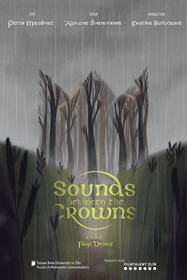 Sounds Between the Crowns poster