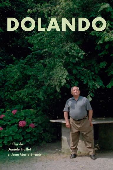 Dolando poster