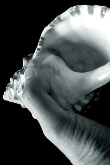 Gramophone No.13 poster