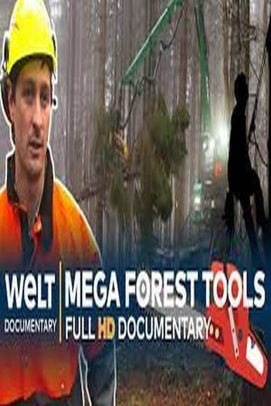 Treacherous Timber: Loggers And Their Mega Tools poster