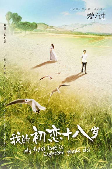 我的初恋十八岁 poster