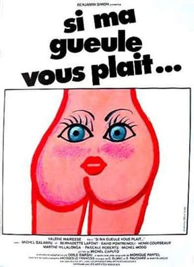Si ma gueule vous plaît... poster