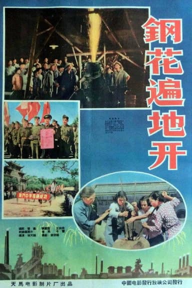 钢花遍地开 poster