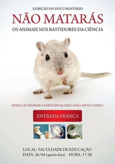 Não Matarás poster