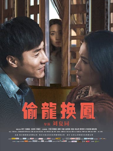偷龙换凤 poster