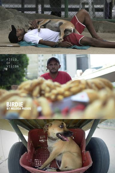 Birdie poster
