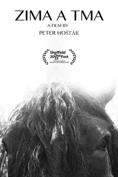 Cold and Dark poster