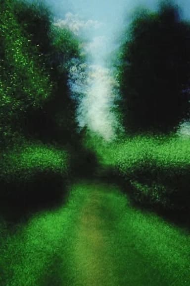 Brouillard #13 poster