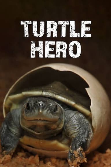 Turtle Hero poster