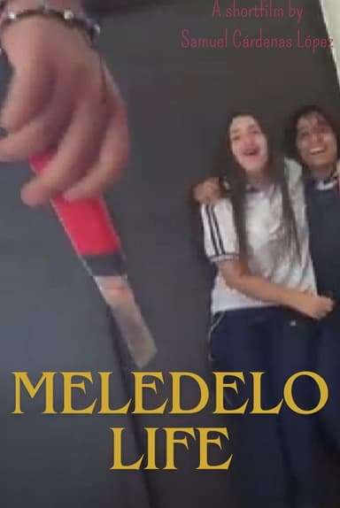 MELEDELO LIFE poster