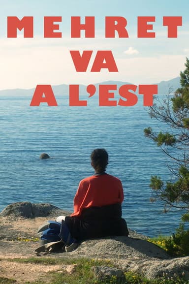 Mehret goes East poster