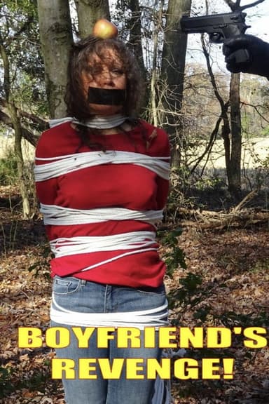 Boyfriend's Revenge poster