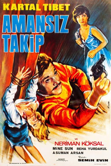 Amansız Takip poster