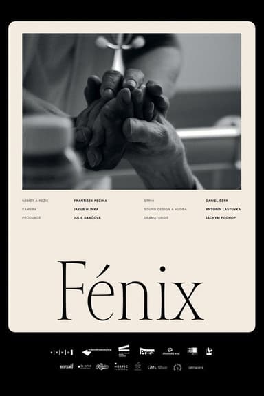 Fénix poster