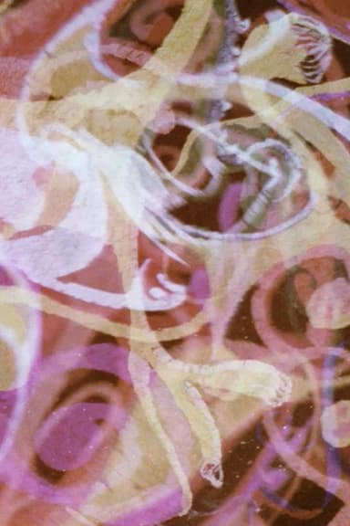 Psychedille poster