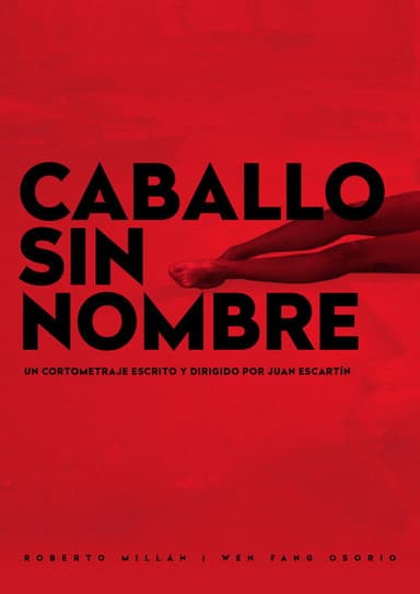Caballo sin Nombre poster