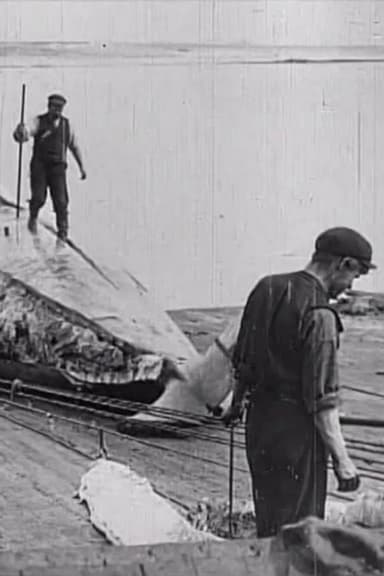 Whaling Afloat and Ashore poster