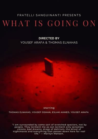 What Is Going On poster