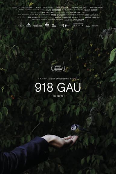918 Nights poster