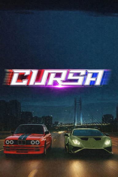 The Race poster