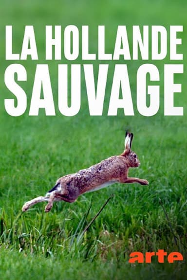 La Hollande sauvage - Dans l'oeil du delta poster