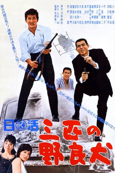 Three Stray Dogs poster