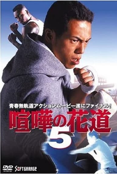 The Way to Fight 5 poster