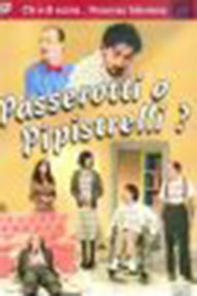 Passerotti o pipistrelli? poster